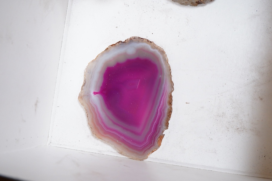 A collection of geological mineral specimens and fossils, including large quartz specimens, prepared cross-sections, fossilised tree sample, crystal formations, etc.